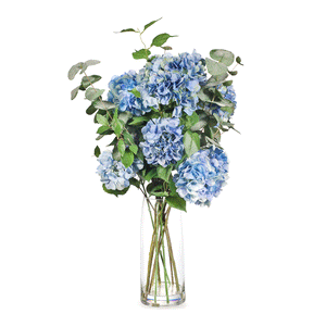 Eucalyptus and Blue Hydrangea Combination